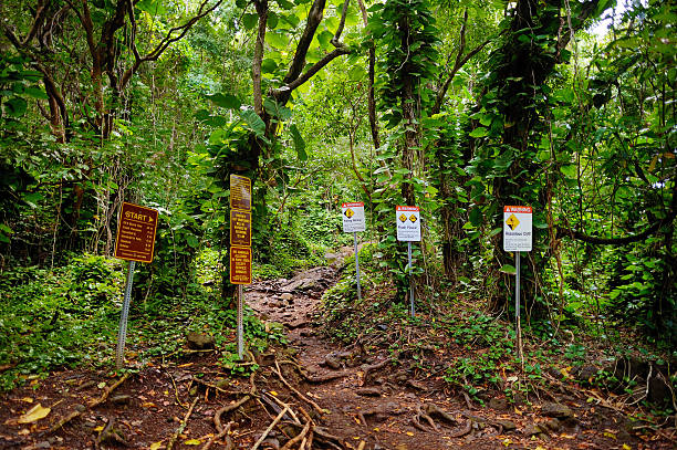 istock Kalalau trail in Kauai, Hawaii 598787370
