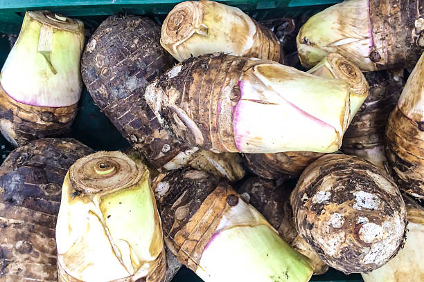 istock Taro root pile in the market. 598787848