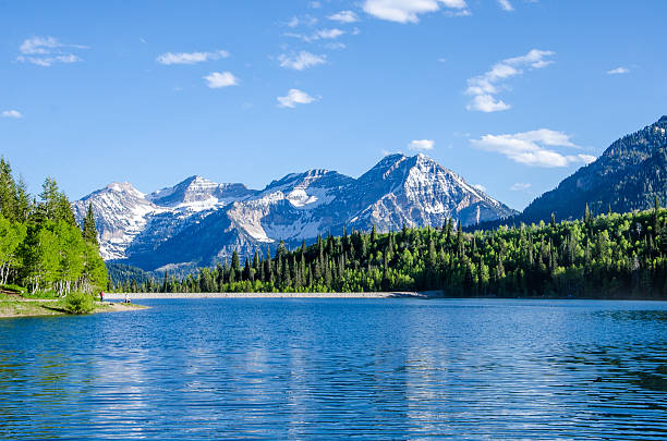 istock Silver Lake Flat Reservoir 598788428