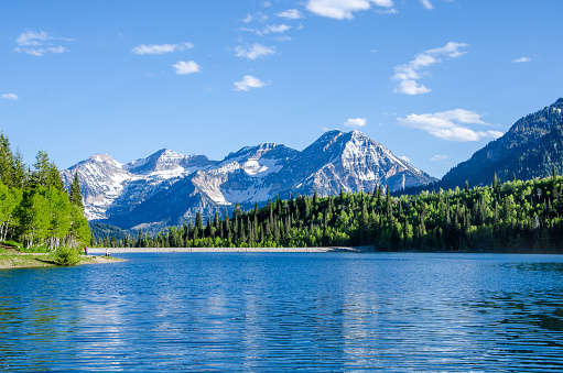 A summer vista looking south across the Silver Lake Flat Reservoir in American Fork Canyon, Utah with Mount Timpanogos, and the Wasatch mountain range providing a backdrop.
