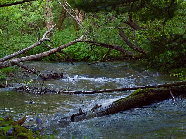 istock Azusagawa river/Kamikochi,Nagano 598788492