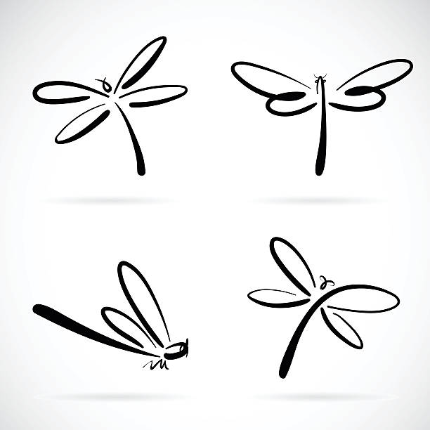 векторная группа эскиза стрекозы. - dragonfly stock illustrations