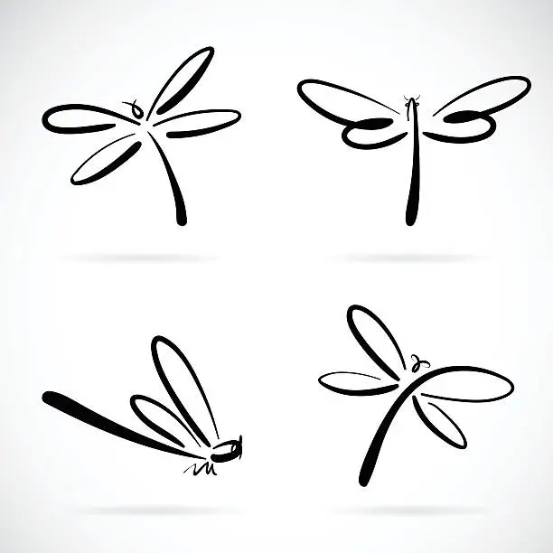 Vector illustration of Vector group of dragonfly sketch.