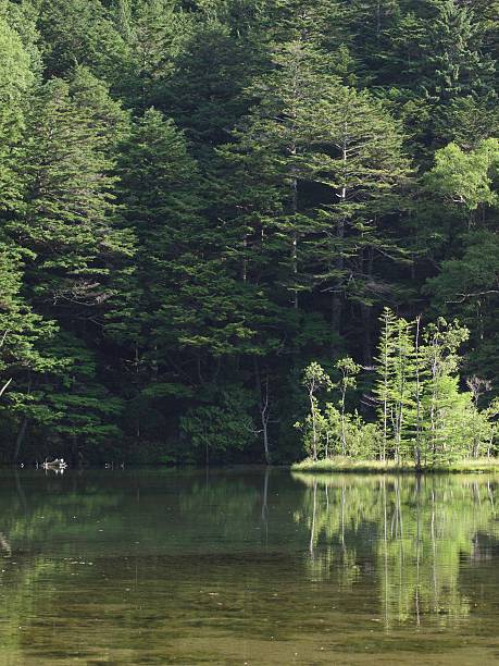 istock Myojin-ike Pond/Kamikochi,Nagano 598789088