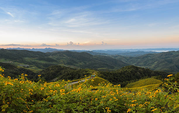 горный восход пейзаж с мексиканским подсолнечником - mae hong son province стоковые фото и изображения