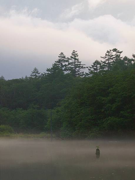 istock Taisho-ike Pond/Kamikochi,Nagano 598790674