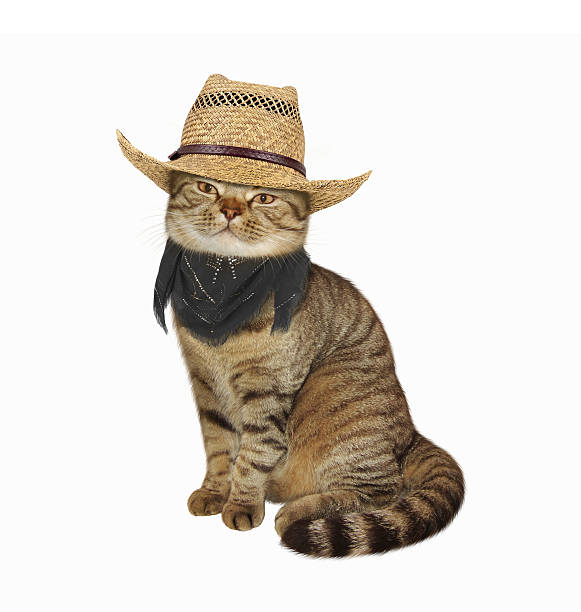 istock Cat in hat and scarf. 598795104