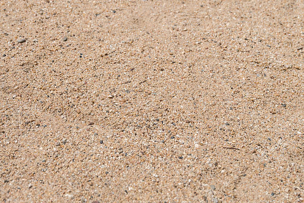 istock Close up of sand ground, Sand surface 598795638