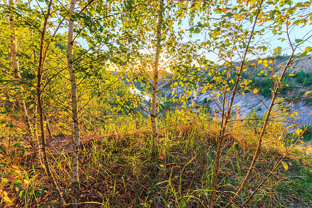 istock sunset at quarry or lake or pond 598795640
