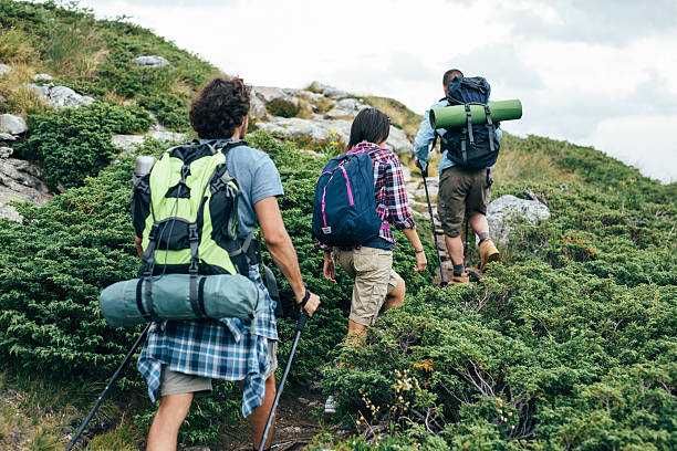 istock Friends hiking in the mountain 598801508