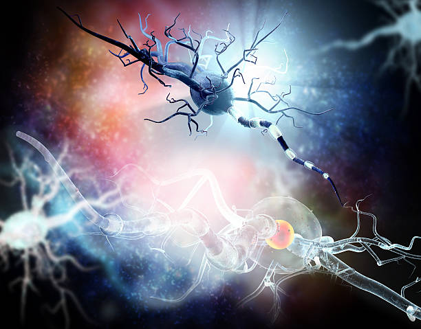 istock Affected Nerve cells, concept for Neurological Diseases,tumors,brain surgery. 598801844