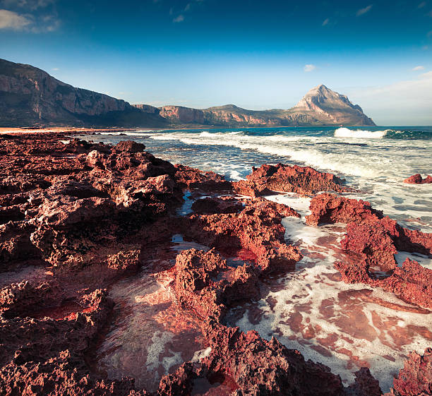 istock Colorful spring scene on the nature reserve Monte Cofano 598803480