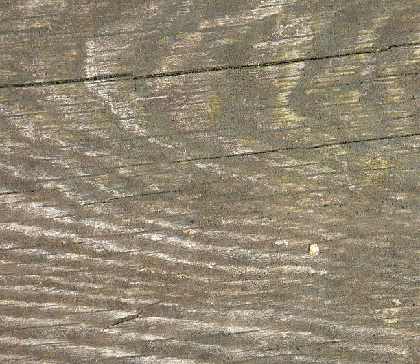 istock Aged gray wooden texture with cracks 598806956