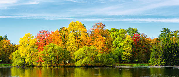colorful autumn park - wood tranquil scene serene people lake imagens e fotografias de stock