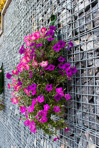Fioletowe kwiaty na kamiennej klatce do dekoracji na świeżym powietrzu – zdjęcie