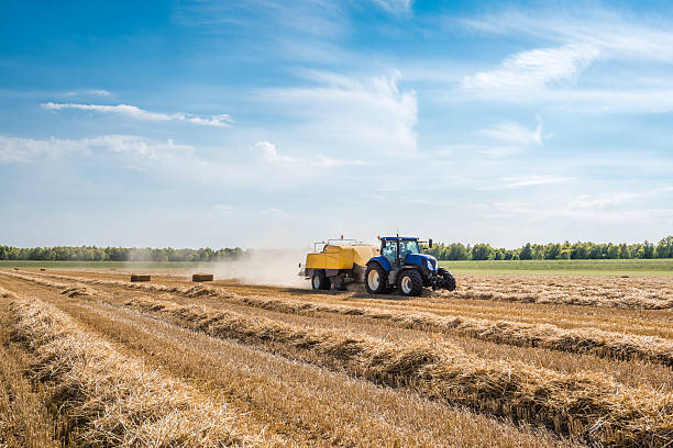Mechanized picking straw and square baling With the high-pressure baler coupled to a tractor the wheat straw is mechanically picked up and squeezed in square bales. hay baler stock pictures, royalty-free photos & images