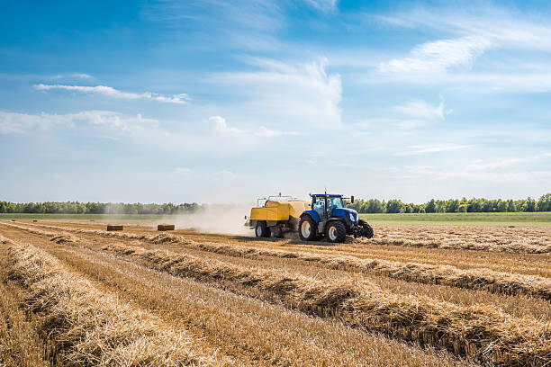 mechanized picking straw and square baling - netherlands place imagens e fotografias de stock