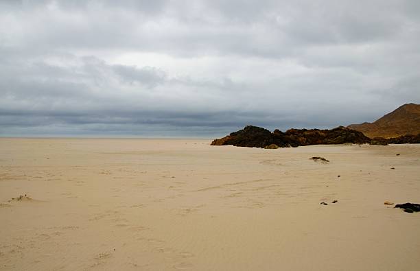 istock National Park Pan de Azucar 598812918