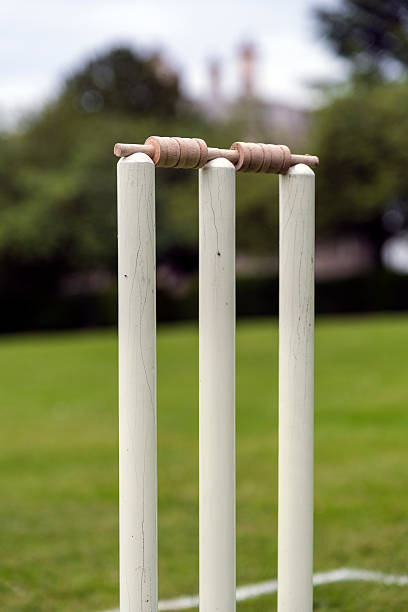 istock Cricket Stumps : With background out of focus 598814164