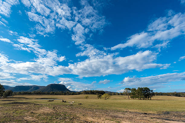 istock Blue Mountains national park Australia. 598814668