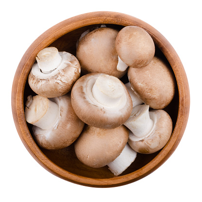 Brown champignons  in a wooden bowl on white background. Agaricus bisporus, edible mushrooms, also called cremini, brown cap or chestnut mushrooms. Isolated macro food photo close up from above.