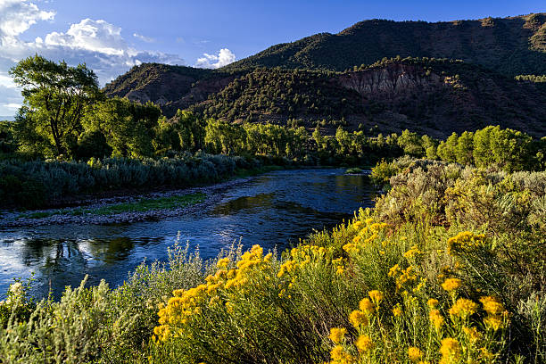 istock Eagle River with Cottonwood Trees at Sunrise 598818670