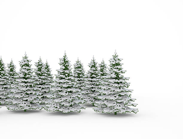 istock Winter trees in mountains covered with snow 598818704