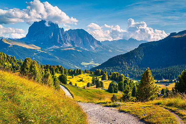 istock Sunny summer scene in the valley Gardena 598821702
