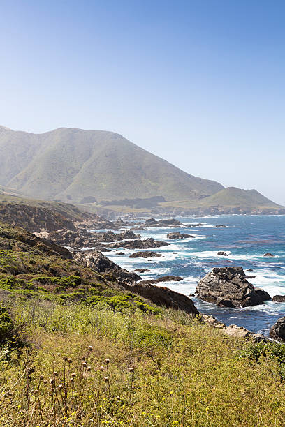 istock Big Sur coast, California, USA 598822378