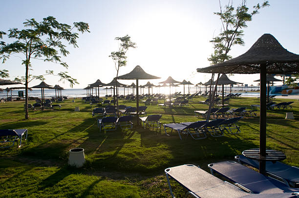 istock Hotel with palm trees in the morning 598823566