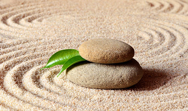 istock stones and green leaf on the sand with circles 598825228
