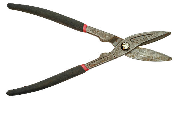 istock Old shears for cutting sheet metal isolated on white 598826402