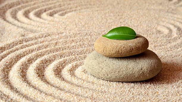 istock stones and green leaf on the sand with circles 598826644
