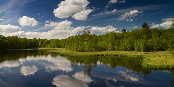 istock Panorama of Rotes Moor marsh 598826826
