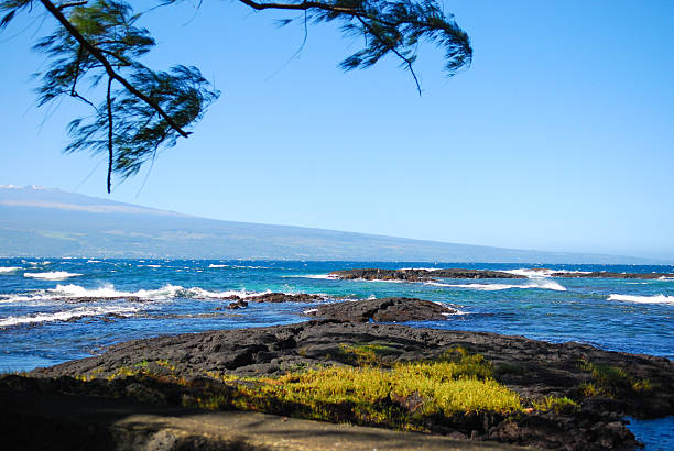 istock Seascape with Mossy Land 598827462