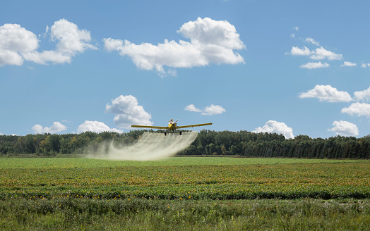 horizontal image of a yellow spray plane flying low over the field spraying the field under a blue sky with clouds.