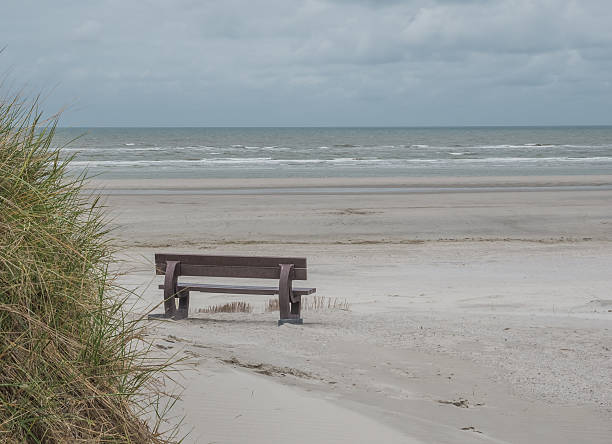 istock Bench on beach of Ameland 598828046