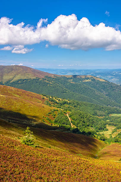 istock mountain landscape with forest and meadow 598829014