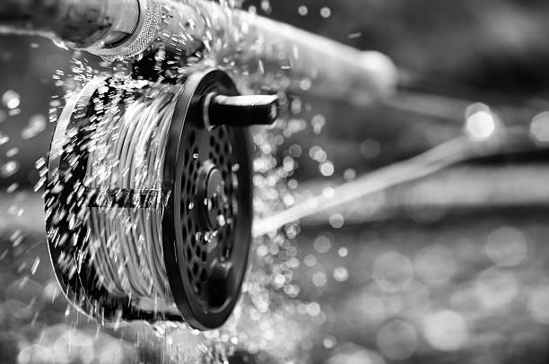 A fly fishing reel sending water droplets flying into the air on the River Spey in Scotland..