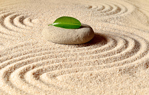 istock stones and green leaf on the sand with circles 598914842