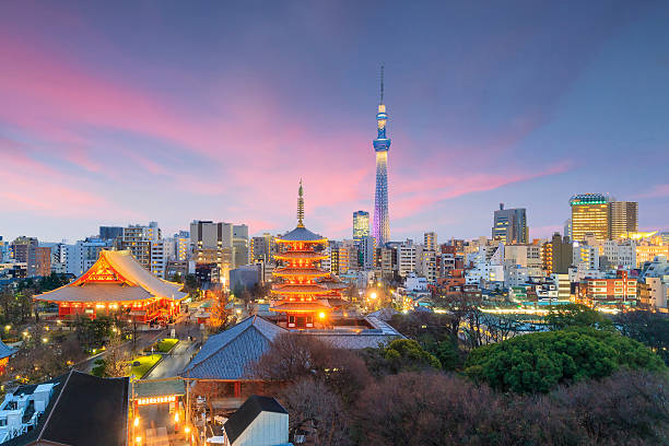 blick auf die skyline von tokio bei sonnenuntergang - tokio stock-fotos und bilder