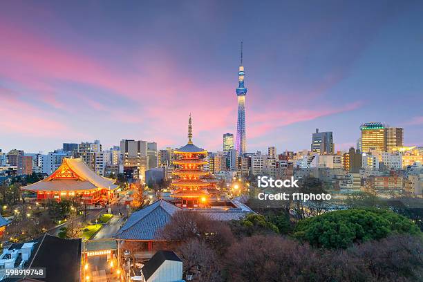 View Of Tokyo Skyline At Sunset Stock Photo - Download Image Now - Tokyo - Japan, Japan, Urban Skyline