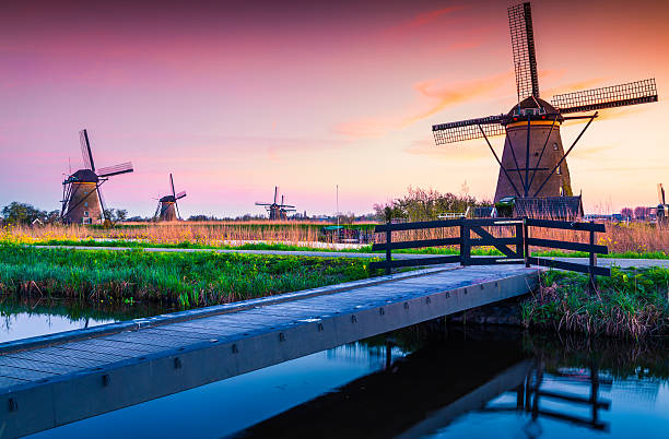 istock Colorful spring scene in the famoust Kinderdijk canals with wind 598922448