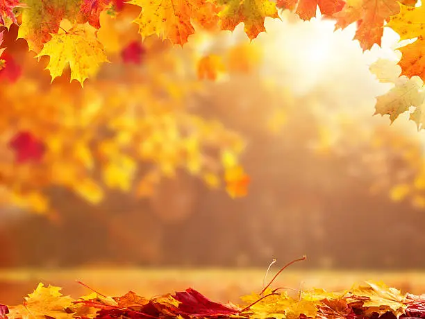 Photo of Abstract autumn background with copyspace