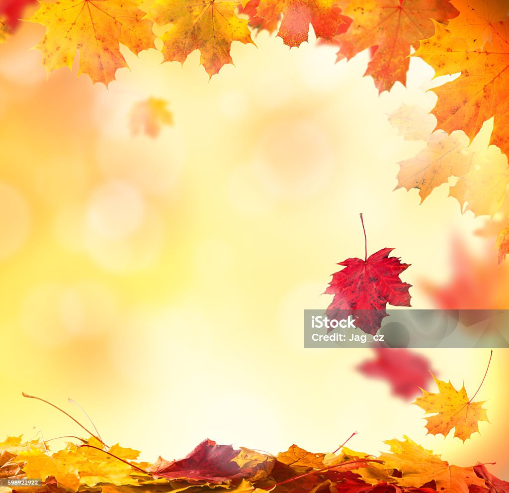 Abstract autumn background with copyspace Beautiful seasonal abstract autumn background with copyspace and falling leaves Autumn Stock Photo