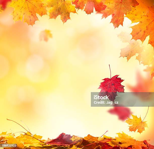 Abstract Autumn Background With Copyspace Stock Photo - Download Image Now - Autumn, Backgrounds, Defocused
