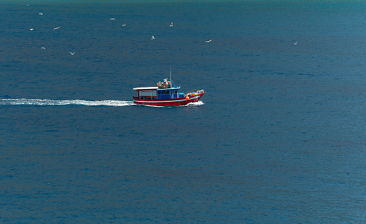 red and blue fishing boat returning with the catch
