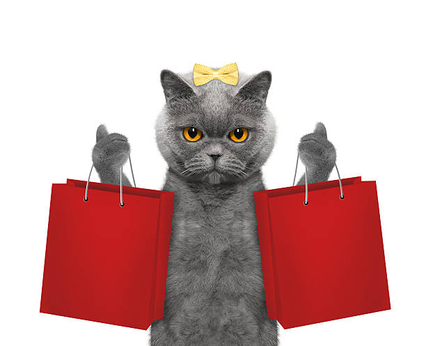 gatto va a fare shopping - domestic cat bag shopping gift foto e immagini stock