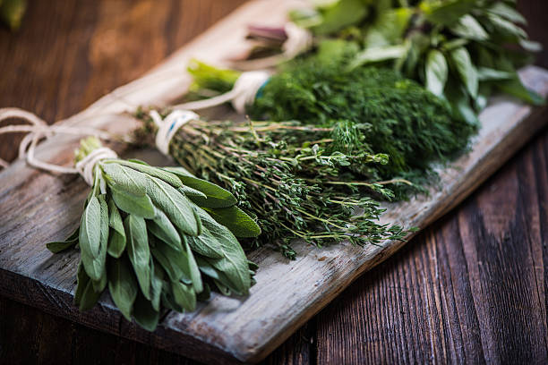 Basil,sage,dill,and thyme herbs Basil,sage,dill,and thyme herbs on wooden board preparing for winter drying organic spice stock pictures, royalty-free photos & images
