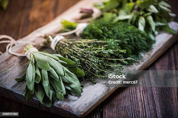 Basilsagedilland Thyme Herbs Stock Photo - Download Image Now - Herbal Medicine, Herb, Spice